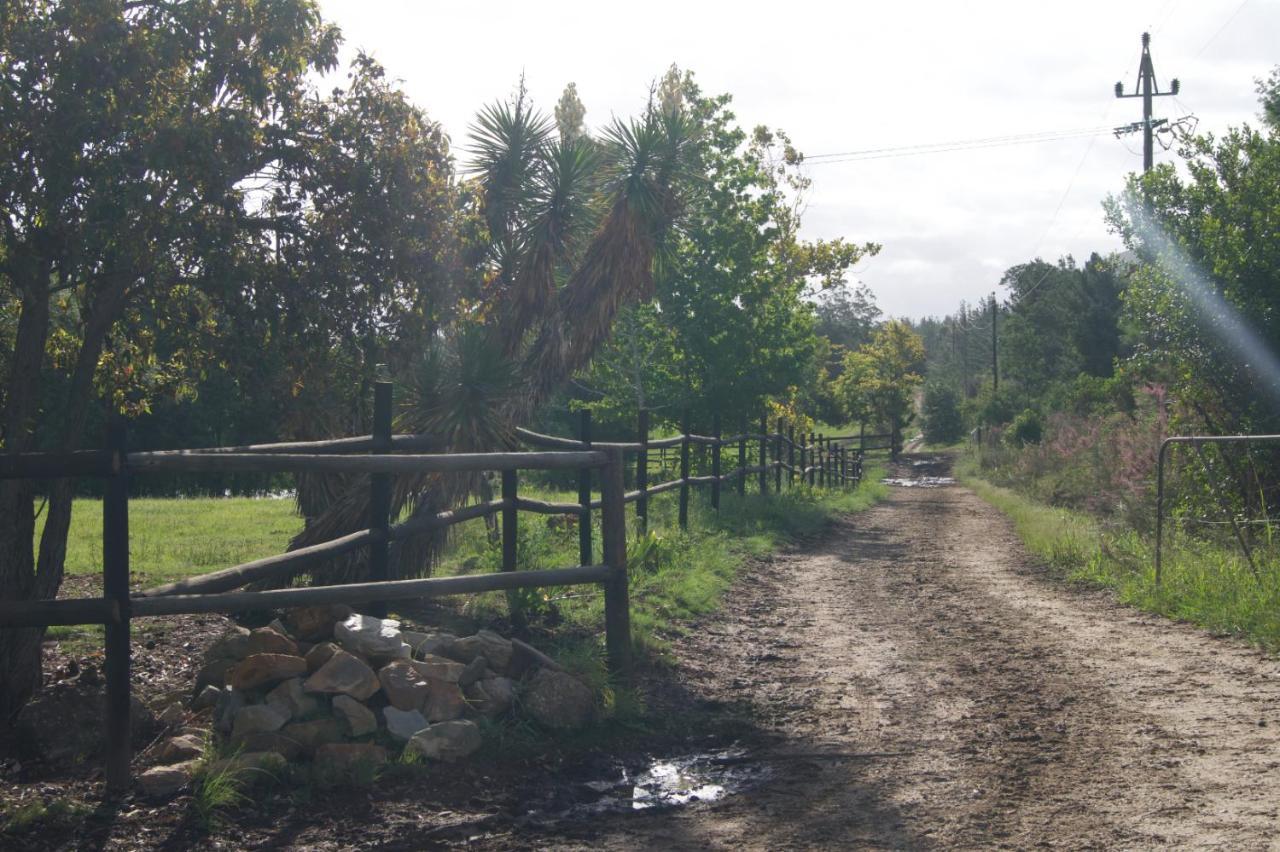 Buffelsdam Country House Kurland エクステリア 写真