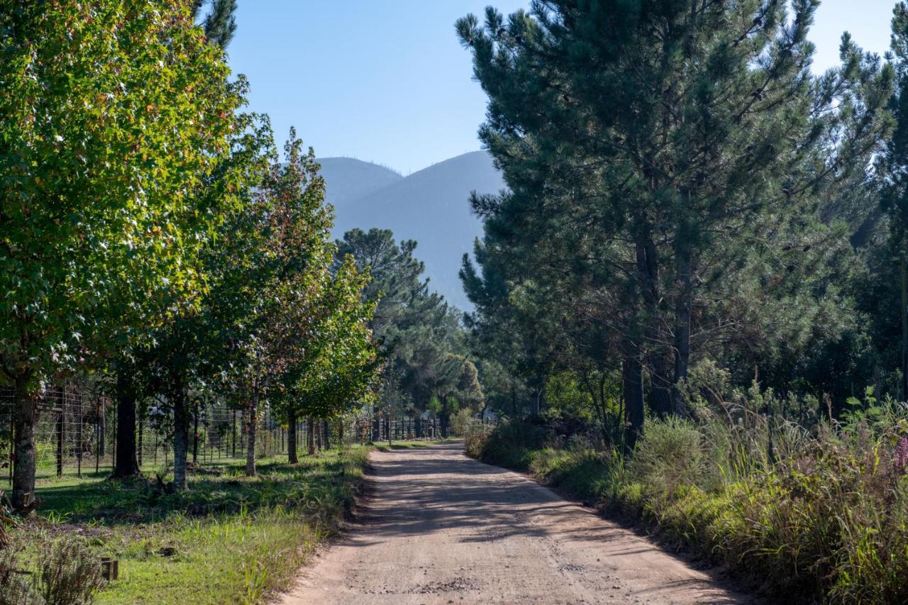 Buffelsdam Country House Kurland エクステリア 写真