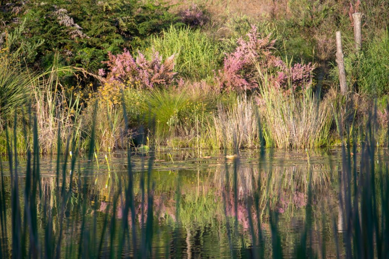 Buffelsdam Country House Kurland エクステリア 写真